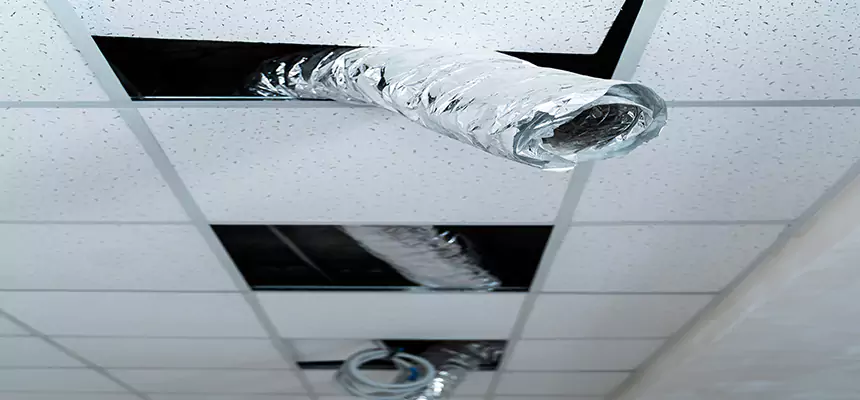 Our Air Duct Pet Hair Removal Services in Menifee, CA