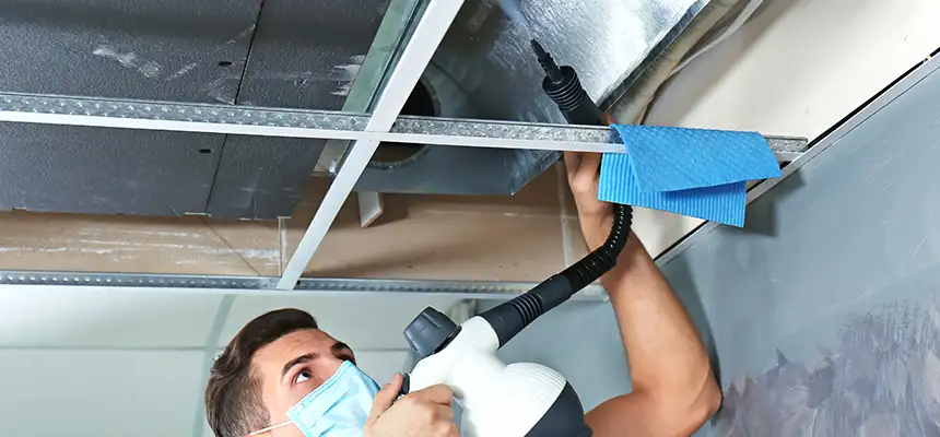 Our Air Duct Rodent Removal Services in Menifee, CA