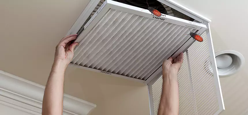 Our Insect Removal from Air Ducts Services in Menifee, CA