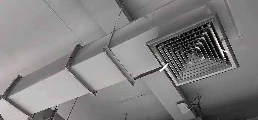 Our Pest Removal From Ducts Services in Menifee, CA