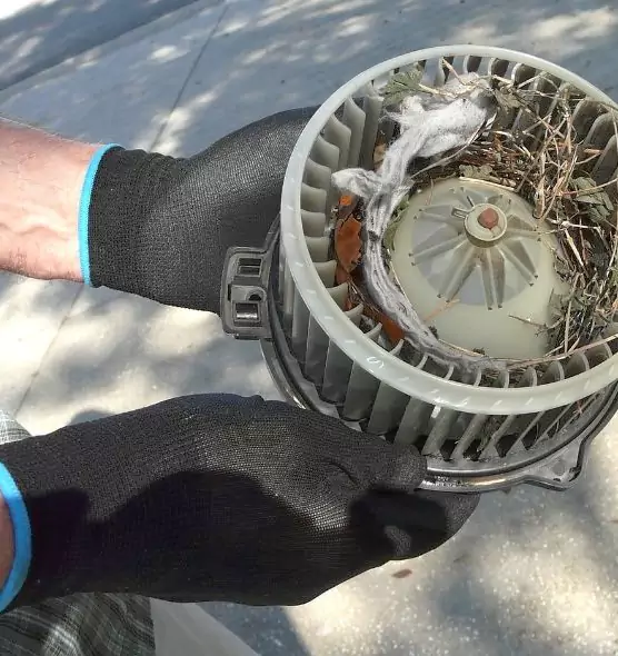 About Air Duct Mice Removal in Menifee, CA